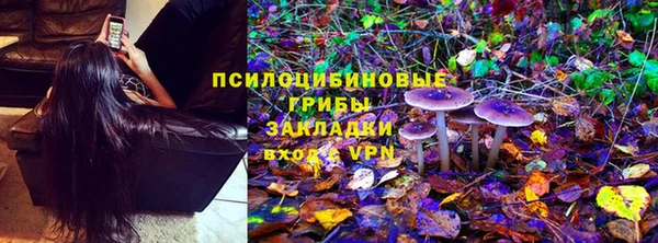 дживик Верея