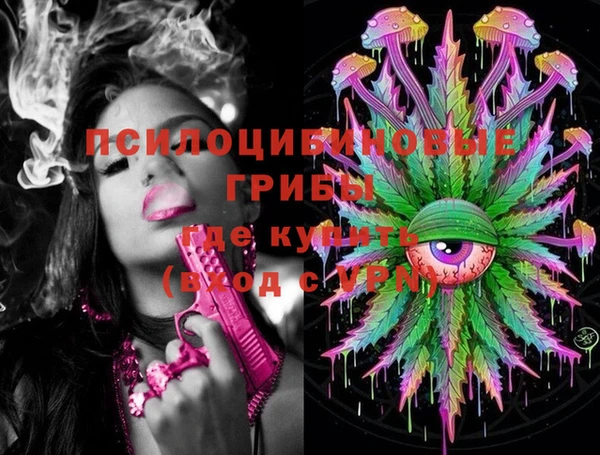 дживик Верея