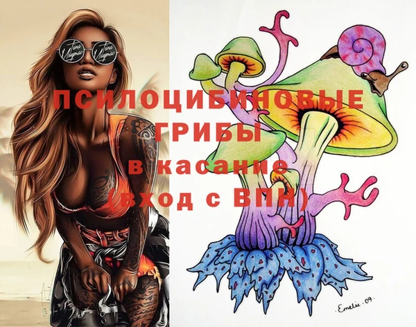 дживик Верея