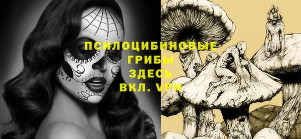 дживик Верея