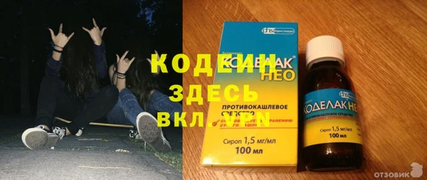 дживик Верея
