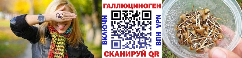где купить наркоту  Смоленск  Псилоцибиновые грибы Psilocybine cubensis 